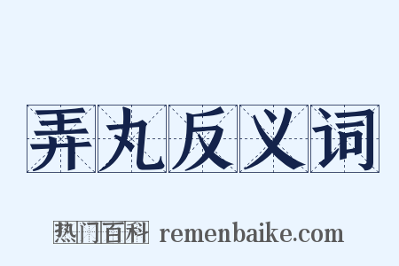 弄丸反义词是什么意思的图片